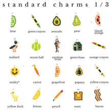 Load image into Gallery viewer, Single *Charm Garden* Charm