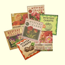 Load image into Gallery viewer, Mystery Seed Bead Charm Packets