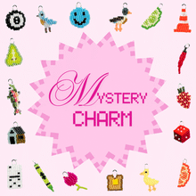 Load image into Gallery viewer, *Mystery Charm*
